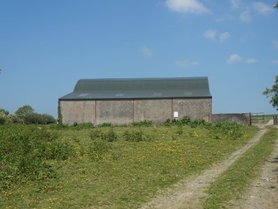 Curved and Cocktailed Sheets 1.JPG