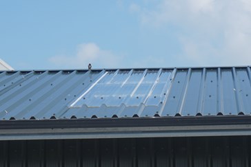 Rooflights - Agricultural Sheeting Solutions, Cladding Solutions from EQC Ireland
